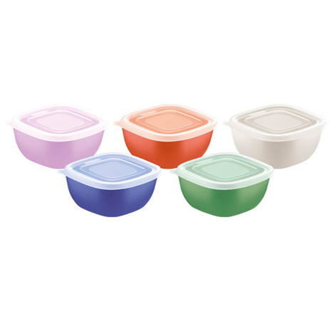 Tramontina Juego de Potes MixColor 25099998 con tapa transparente 10 piezas