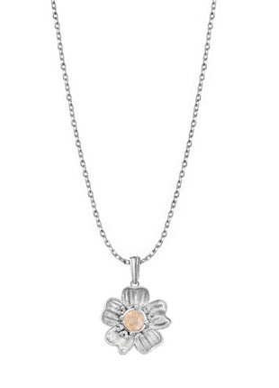 Tanya Moss Dije Florecer Flor Pequeña con Cristal Champgane YP2929 plata .925