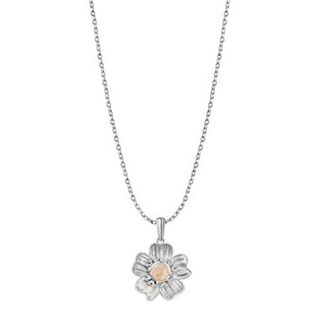 Tanya Moss Dije Florecer Flor Pequeña con Cristal Champgane YP2929 plata .925